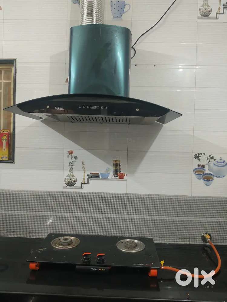 Chimney service Technician