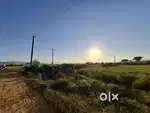 Land for sale (green belt) papers ready