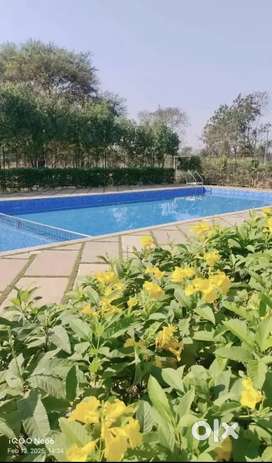 Farm house project at kumhari Raipur