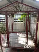Dog kennel ( Cage)