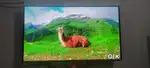 Mi 50 inch ultra HD 4K resolution  Android Smart TV Wi-Fi Bluetooth  .