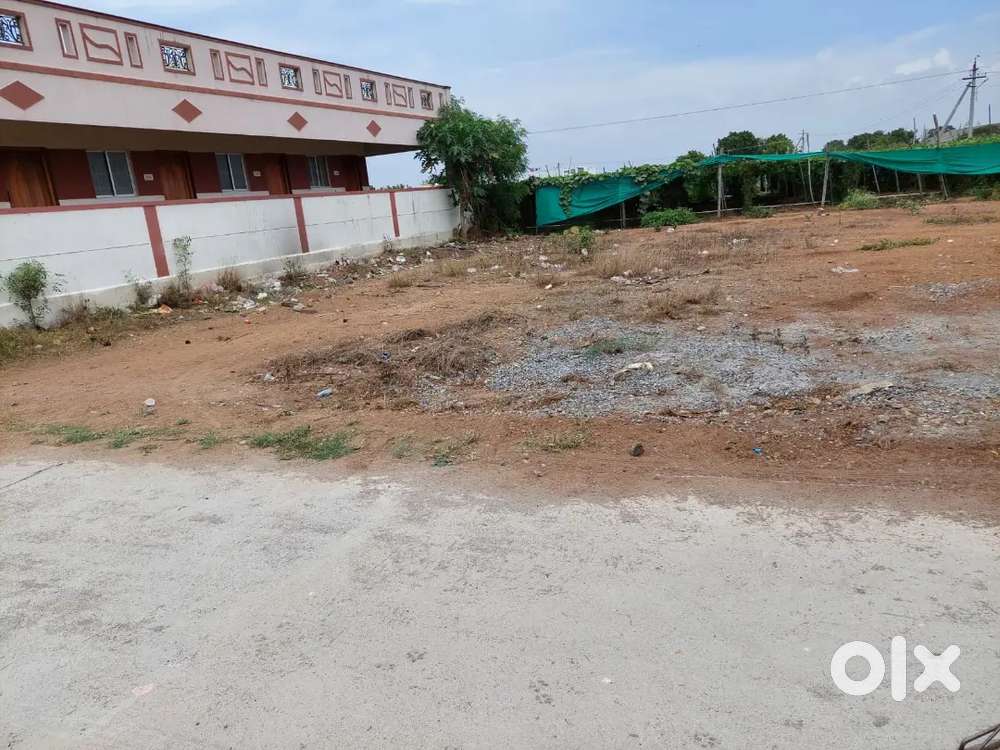 4.88cent land DTCP site sale pappampatti(near SK INTERNATIONAL SCHOOL)