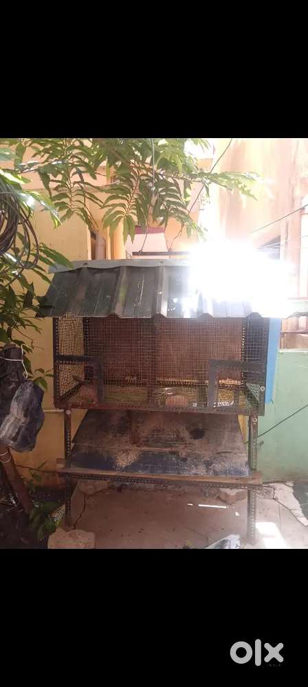 Rabbit/ birds Cage
