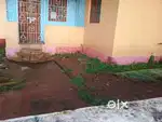 1bhk available for rent on ground floor at paliem Arambol, North Goa
