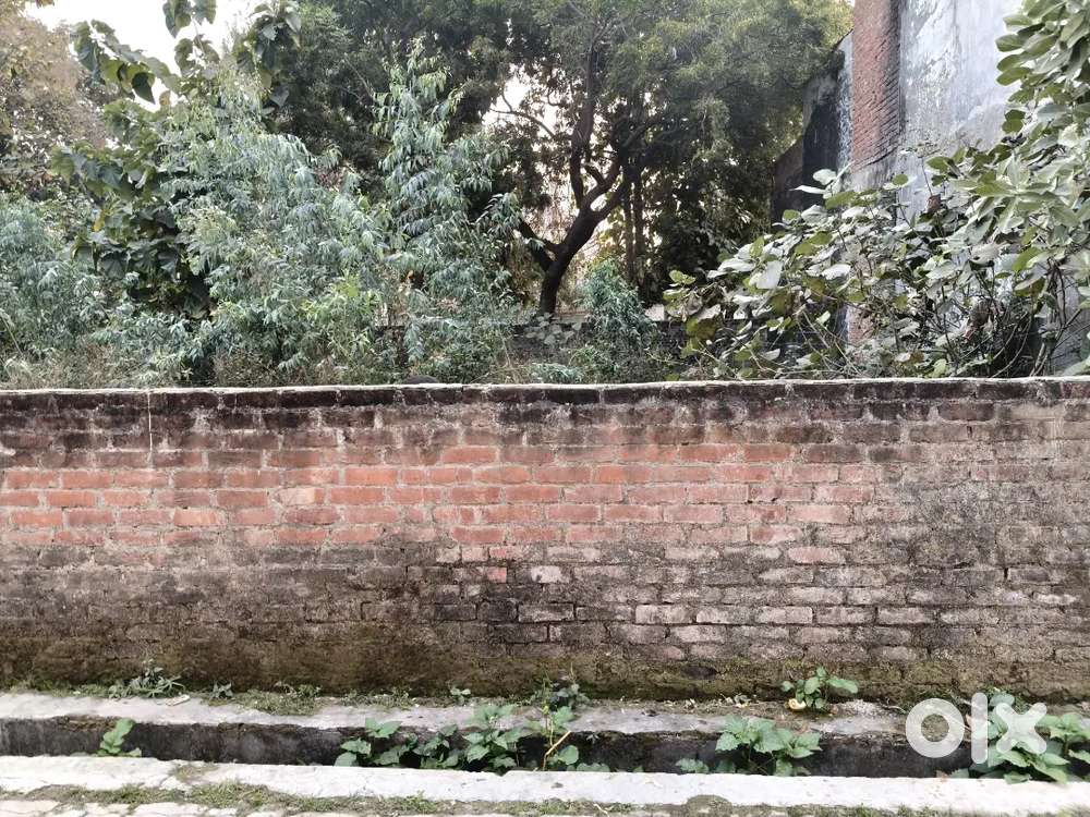 Semi Commercial/Residential Plot near Maharishi University IIM Road