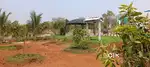 Kottakoduru beach view farmland