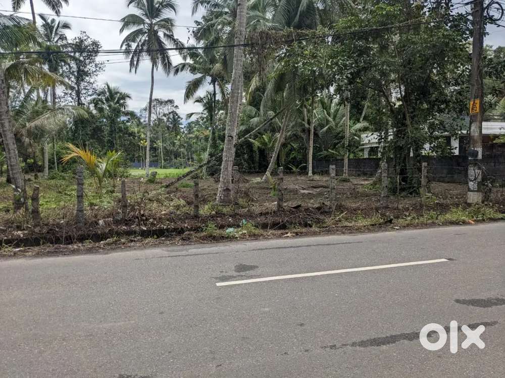 Plot near main road side