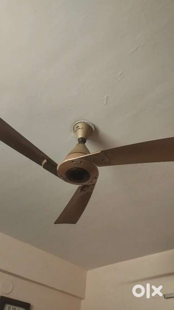 Ceiling Fan