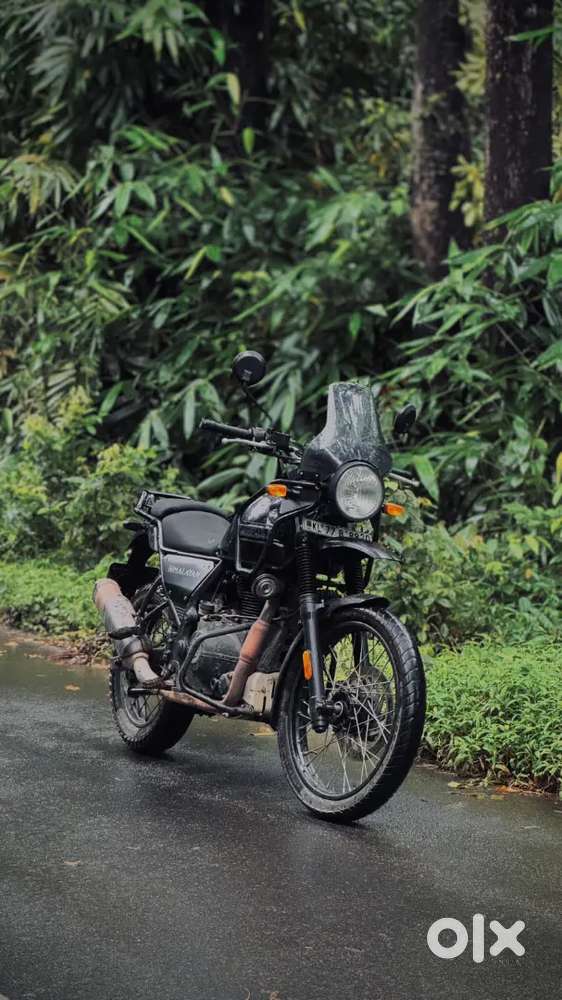 Himalayan royal enfield