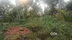 Good plaot for sale making house, kunnamanagalam poyya