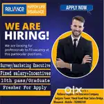 Marketing executive bhusawal