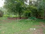 15 & 25 Cent Land for sale Valiyaparambu