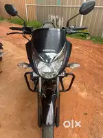 Unicorn bs6