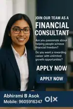 Financial Consultant