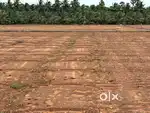 Land / Agriland / Agriculture land