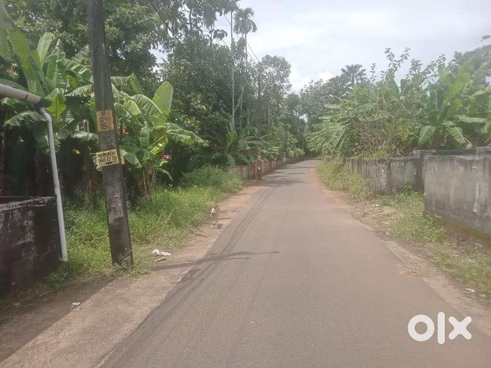 20 cent plot for Sale @Kollam(Kolla City 10K/m)