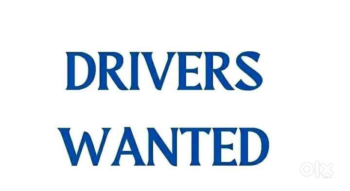 Wanted professional driver