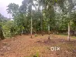 10 Cents of land for Sale