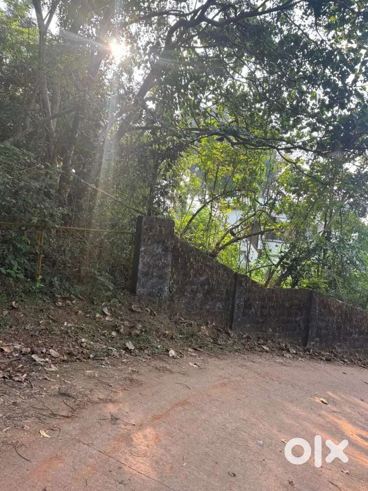 7.5 cents 10 lakh negotiable ner to kottara main road