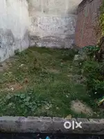 नेहरू कालोनी ग्राम सलमेपुर महमूद - 2, सिडकुल, हरिद्वार