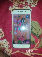 Vivo Model no 1713