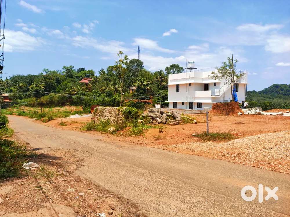 MAIN . ROAD Trivandrum peyad THACHOTTUKAVU Abhaya