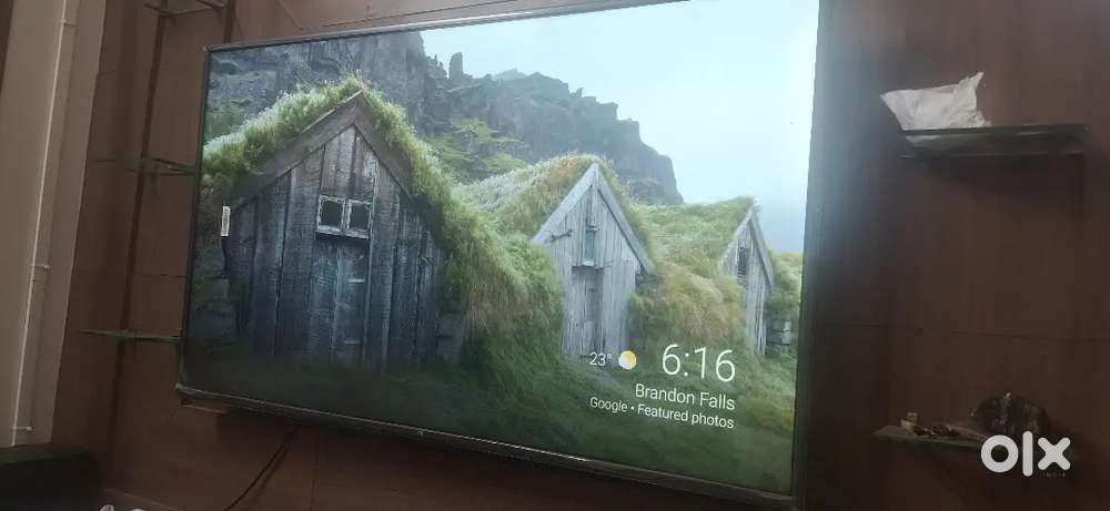 Mi 55 inch TV 1Year Old