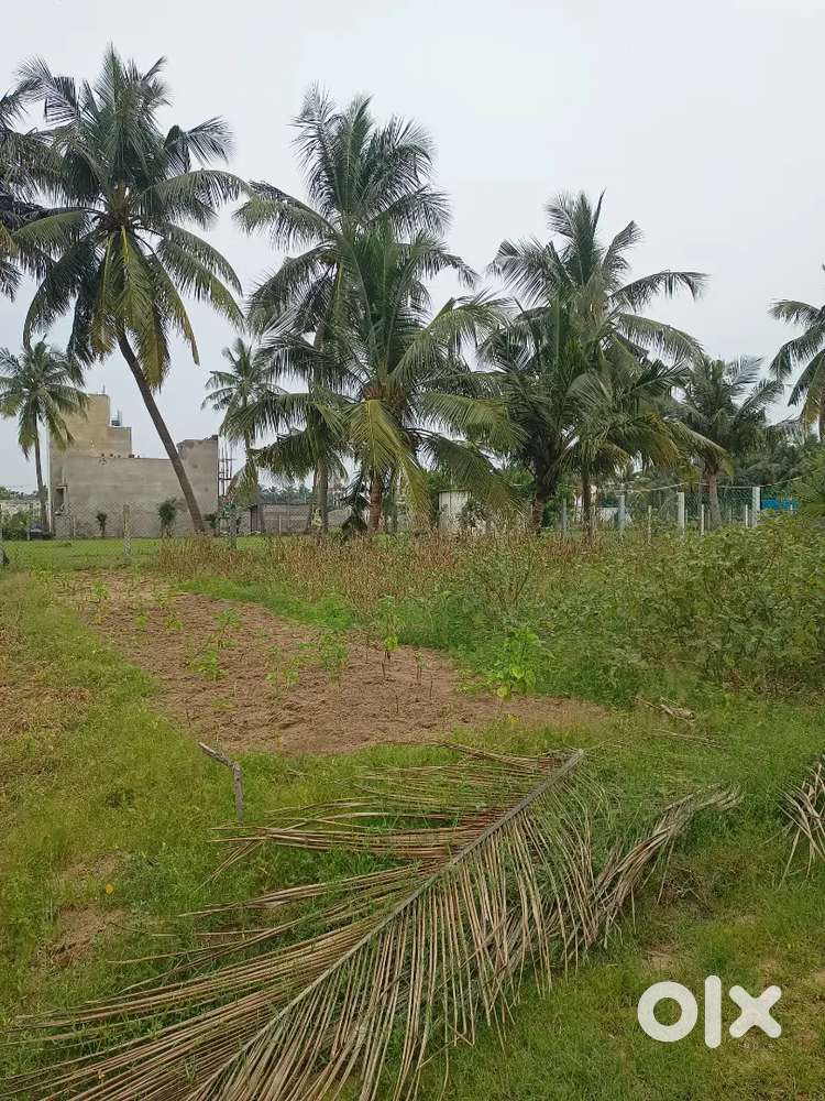 Residential plot measuring 1200sf is available for sale