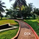 Beach view resort land for sale in Bheemili mandal