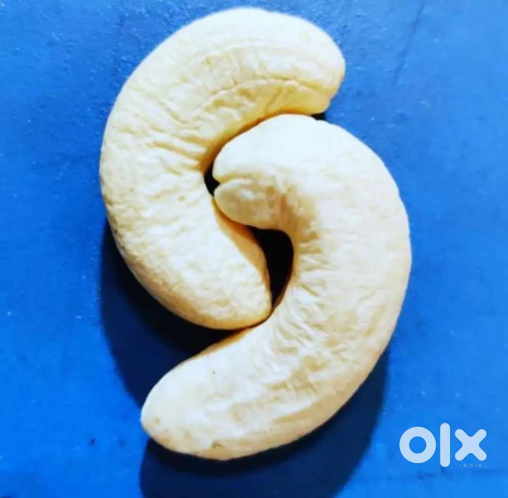 કાજુ ની કંપની માં કામ કરવાનું રહેશે