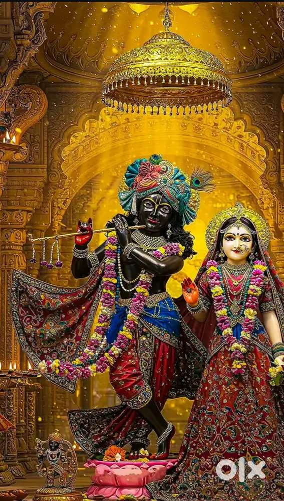 2025 new godown jhalu road om dhara narsari