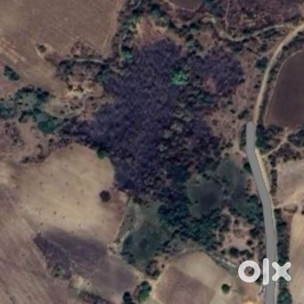 Property available for rent