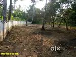 15 cents land at Ayyanthole