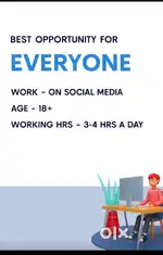 Work from social media, flexible timeing and age 18+