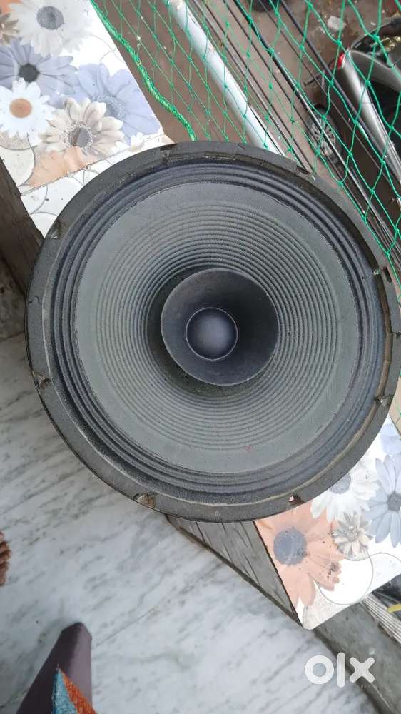 12 inch 200 watt speeker