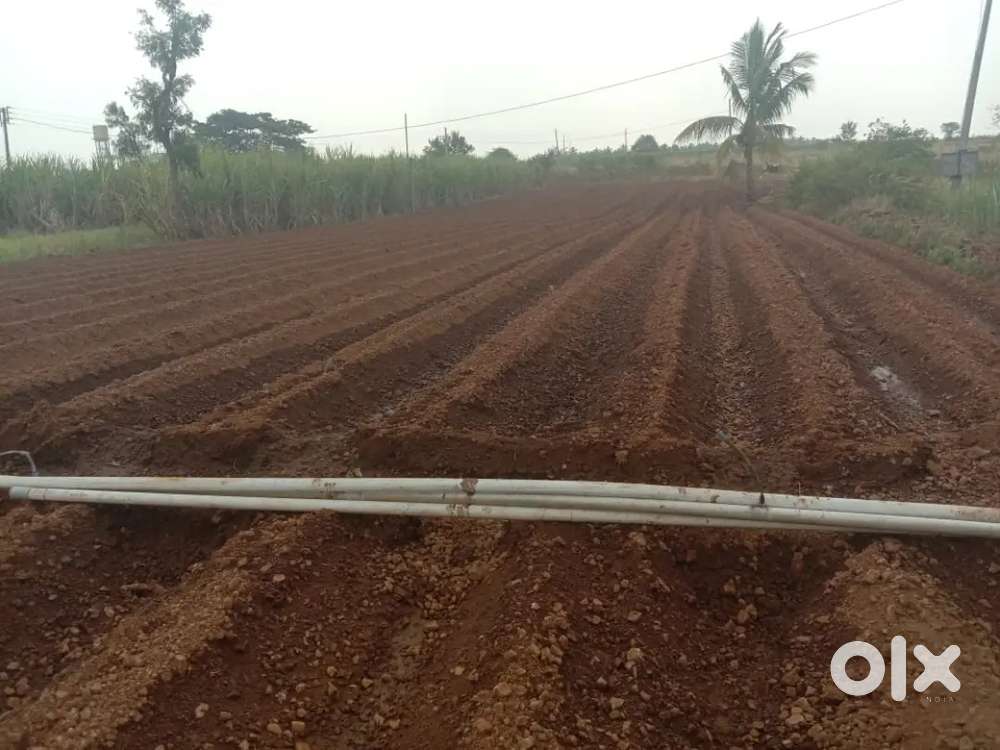 12 गुंठे शेती विकणे आहे , गुंठा - 220000 रुपये.