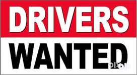 Driver Job in Tours & Travels