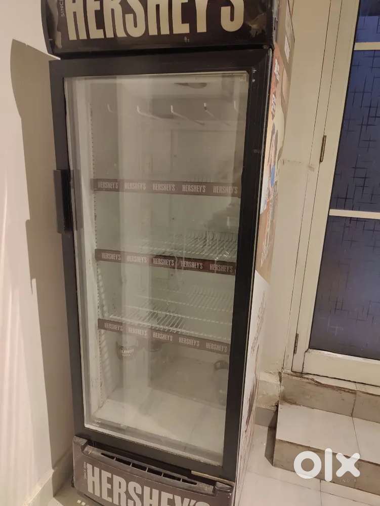 Bottle fridge