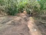 33 cents land with 3bhk RCC house for sale