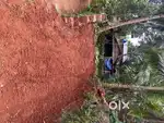 House plot 12 cent for sale Thokkampara
