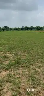 Agriculture land for sale at mobha