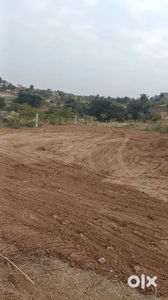 Mountopera plots for reasonable rates