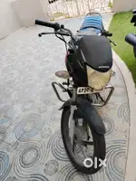 Honda shine