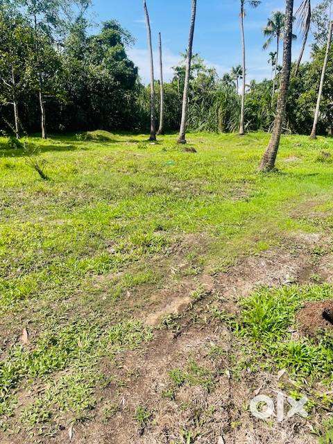 Riverside property for sale, also will sell in parts