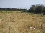Residential Land for sale