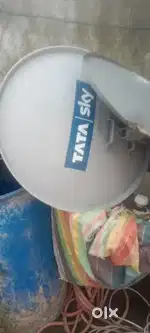 Dish antina