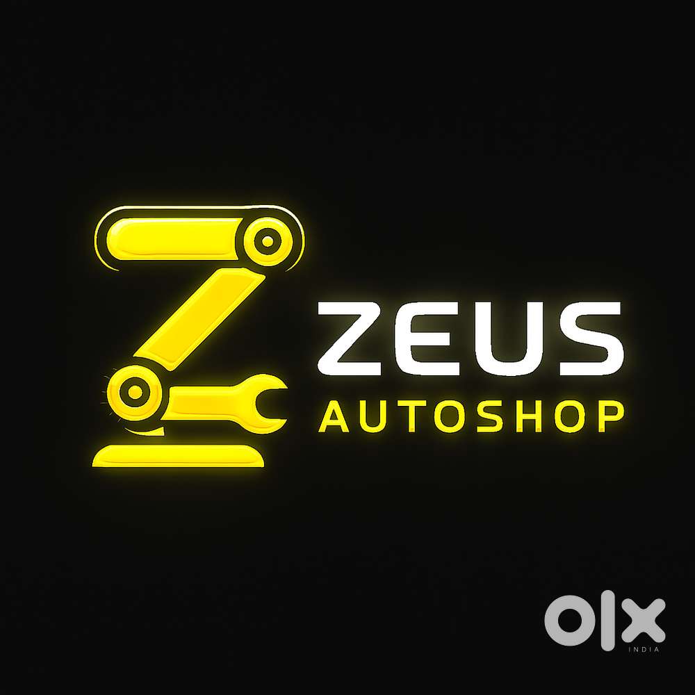 Experienced Car Mechanic