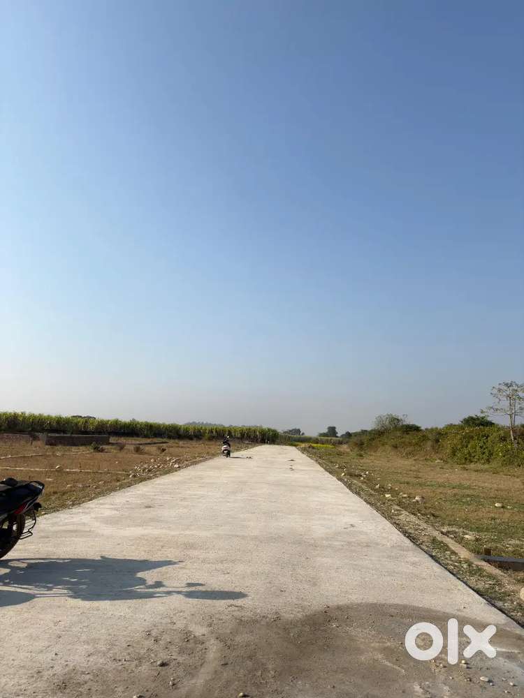 Plots near bsf camp Doiwala @16000/ sq yd