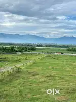 600 Bigha Prime Land Available Dehradun