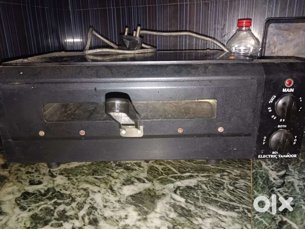 Tandoor electric oven